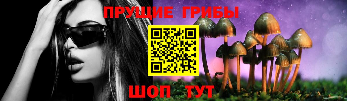 Бирск  купить закладку  Вход с VPN  Галлюциногенные грибы Magic Shrooms 